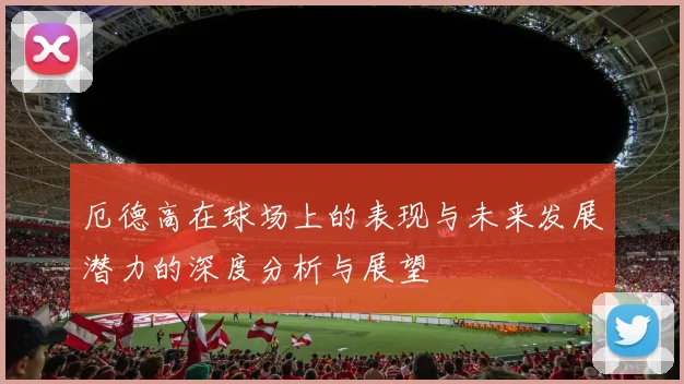 厄德高在球场上的表现与未来发展潜力的深度分析与展望