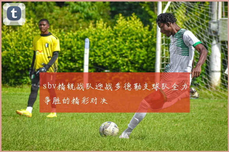 sbv精锐战队迎战多德勒支球队全力争胜的精彩对决