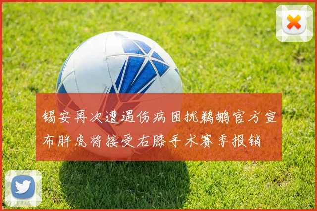 锡安再次遭遇伤病困扰鹈鹕官方宣布胖虎将接受右膝手术赛季报销