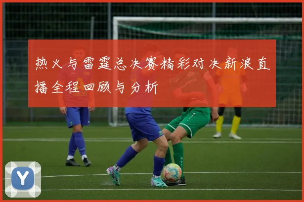 热火与雷霆总决赛精彩对决新浪直播全程回顾与分析