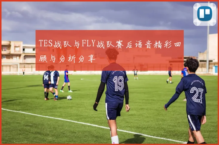 TES战队与FLY战队赛后语音精彩回顾与分析分享
